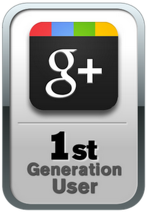 Google Plus - Google Plus Icon (530x742), Png Download