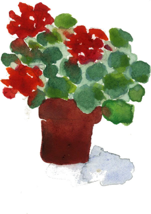 Potted Plant - Flowerpot (603x857), Png Download