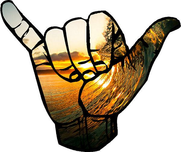 Follow Us - Yellow Hang Loose Sticker (600x505), Png Download