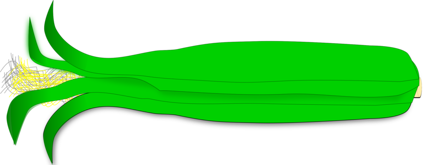 Leaf Fauna Plant Stem Tree Fish - Treefish (873x340), Png Download