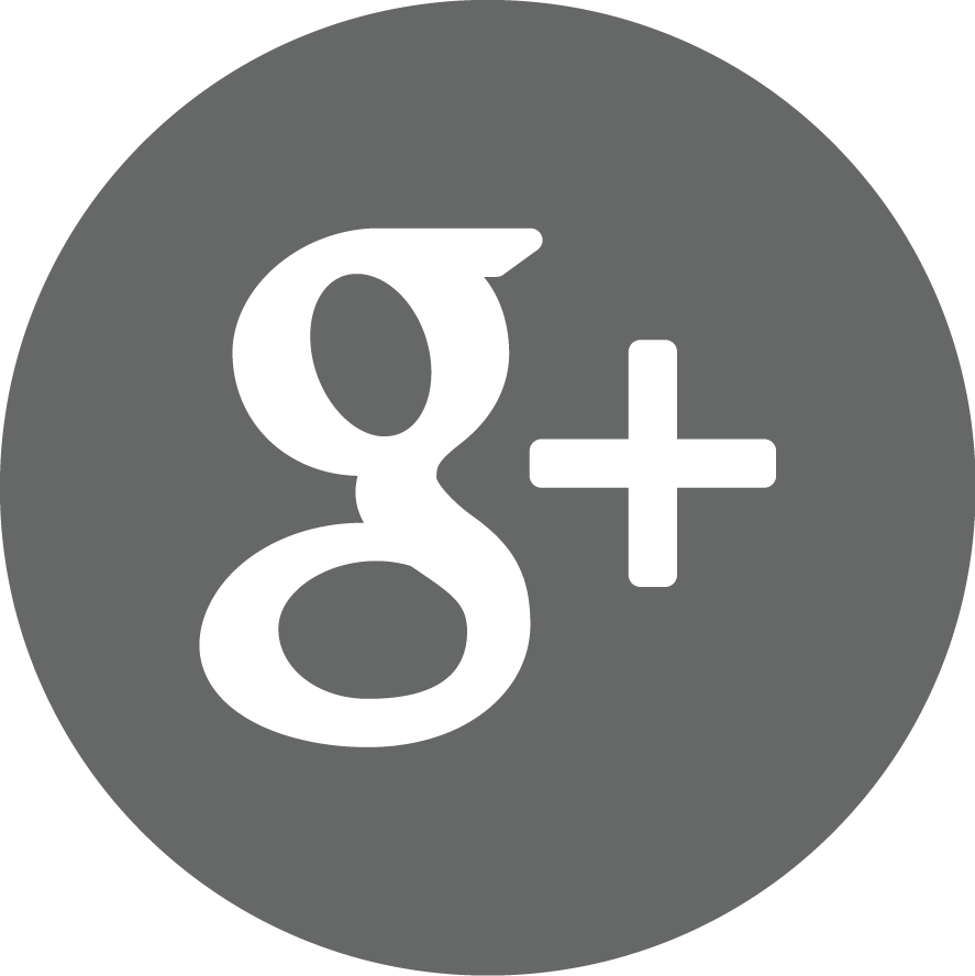 Googleplus - Google Plus Grey Icon (887x888), Png Download