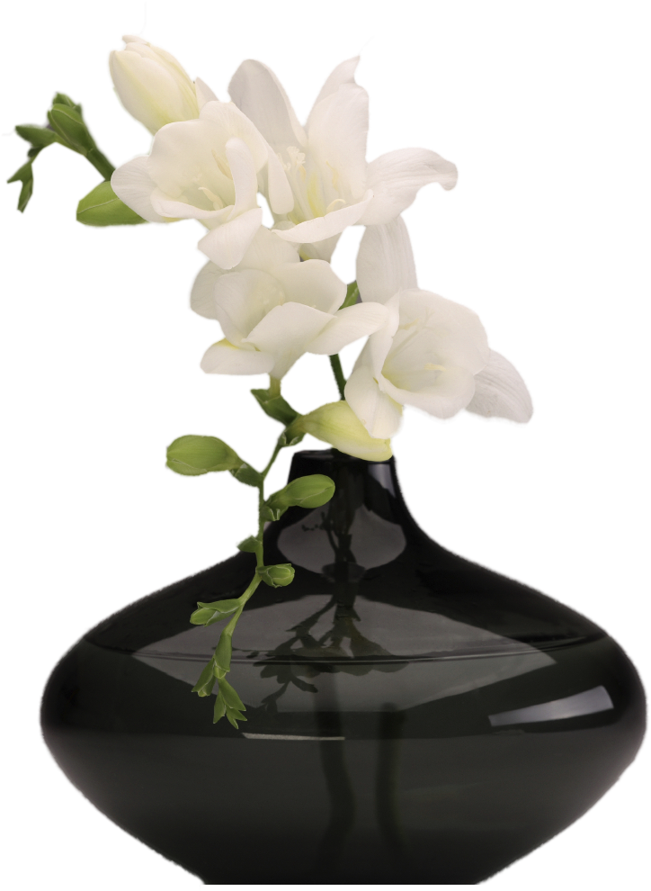 White Flower Vase Png (750x1020), Png Download