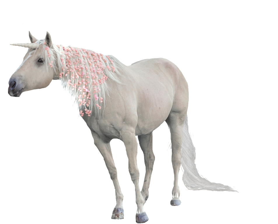 Pintado A Mano De Un Unicornio Png Transparente - Unicorn (1024x1381), Png Download