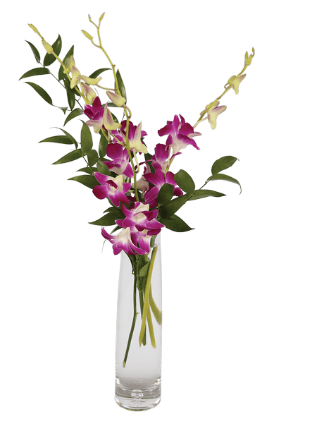 Elegant Orchids, Purple - Orchid Png In Vase (500x611), Png Download