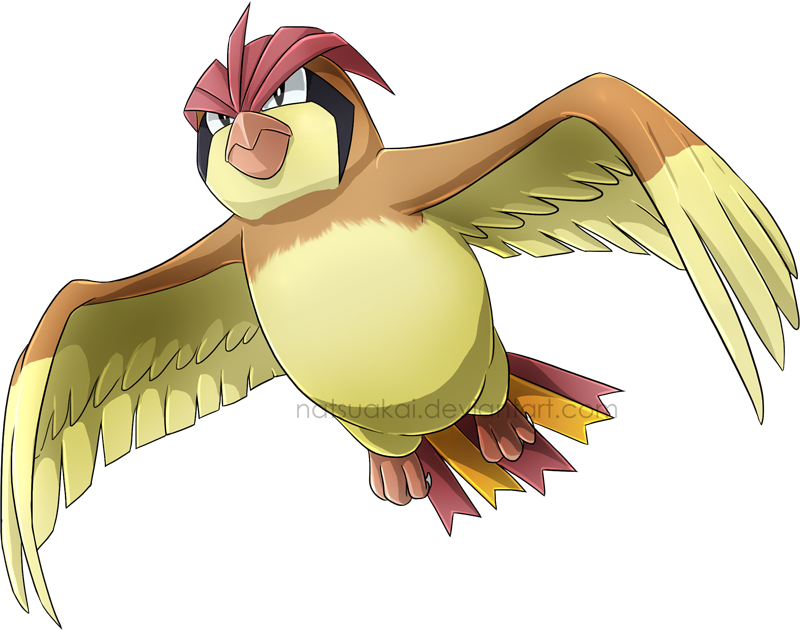 #17 Pidgeotto Art Challenge, Wonders Of The World, - Pidgeotto Png (800x630), Png Download