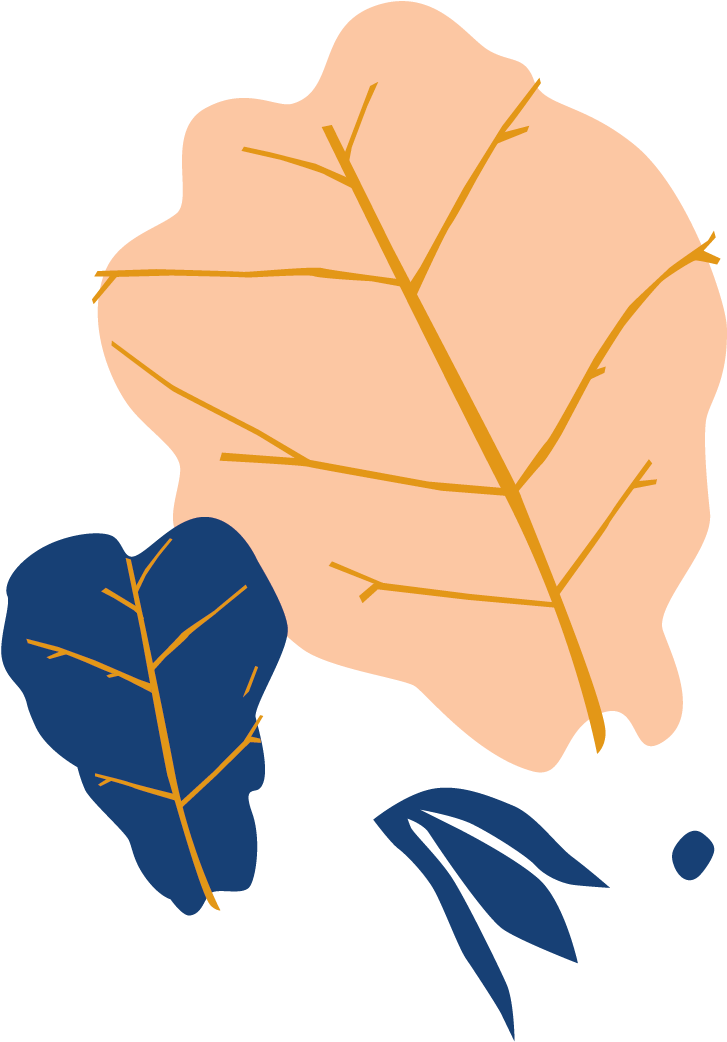Bloomscape Fiddle Leaf Fig - Illustration (961x1306), Png Download