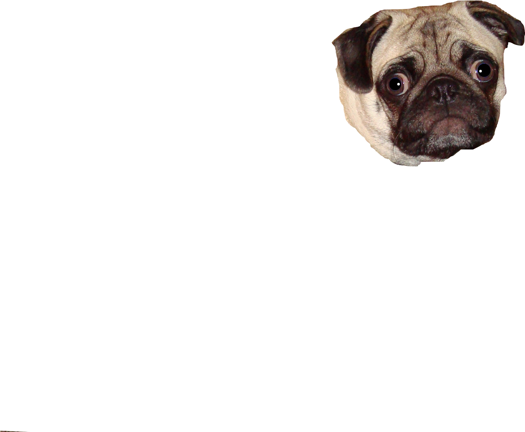 Pug Face Png Graphic Transparent Library - Pug (2292x2092), Png Download