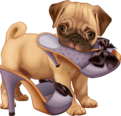 Drawing Bulldogs Pug - Bulldog Frances Animado Zapatos (500x479), Png Download
