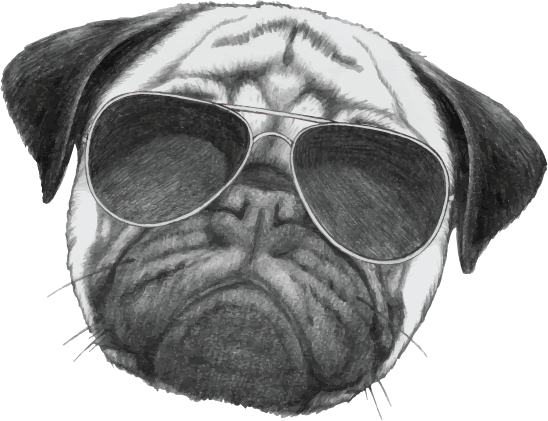 Glass Drawing Face - Suspicious Neighbor: Volume 1 (spy Dogs) (548x421), Png Download