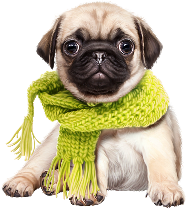 Clipart - Cute Dog Png (600x670), Png Download