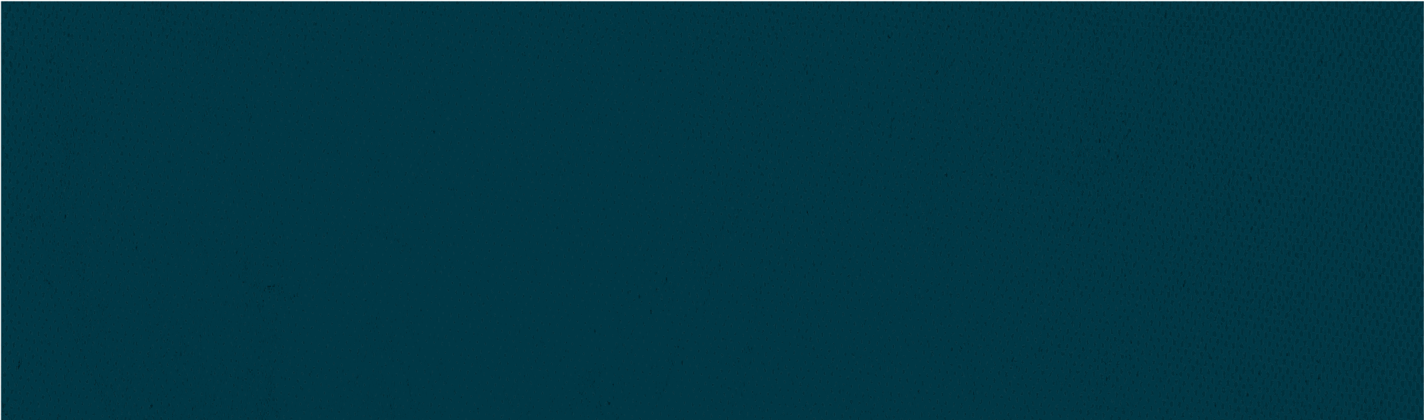 Nlr Checklist Background - Tan (2058x6659), Png Download