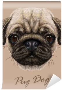 Vector Illustrative Portrait Of Pug Dog - Dog Face Transparent Background (400x400), Png Download