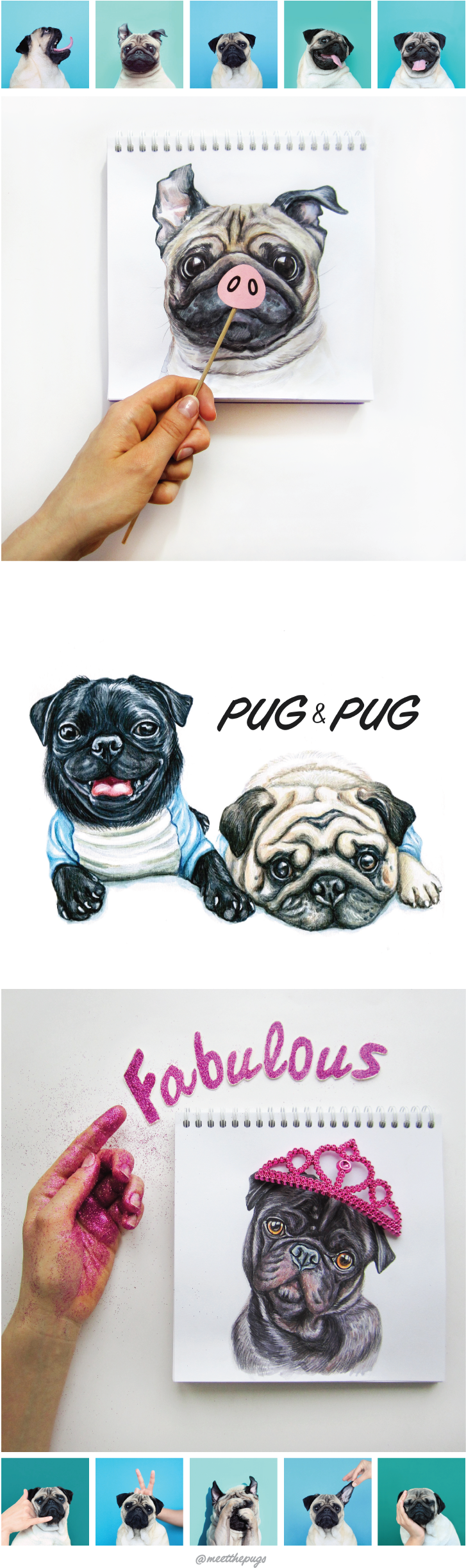 Pug-pig On Behance - Pug (726x2469), Png Download