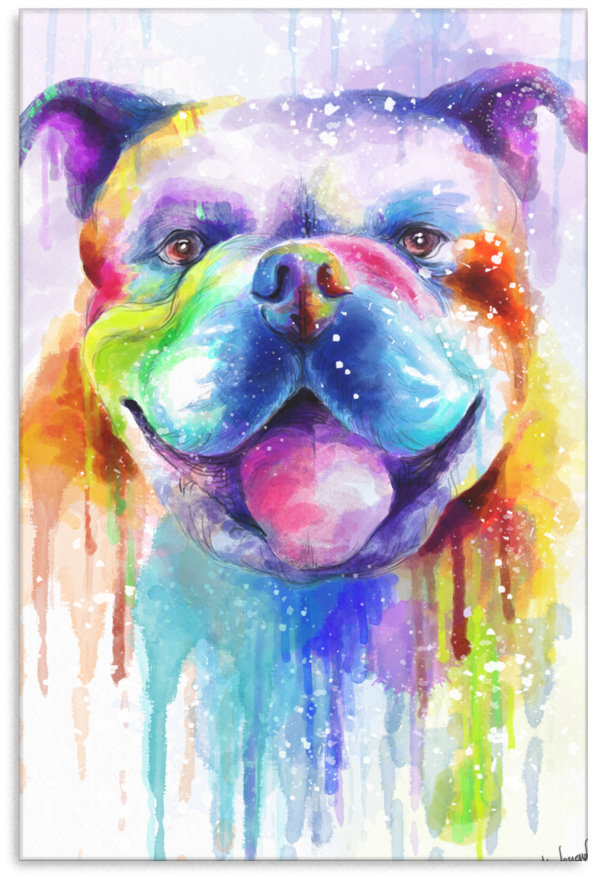 Bulldog Canvas Wrap 2402ph - Olde English Bulldogge (900x900), Png Download