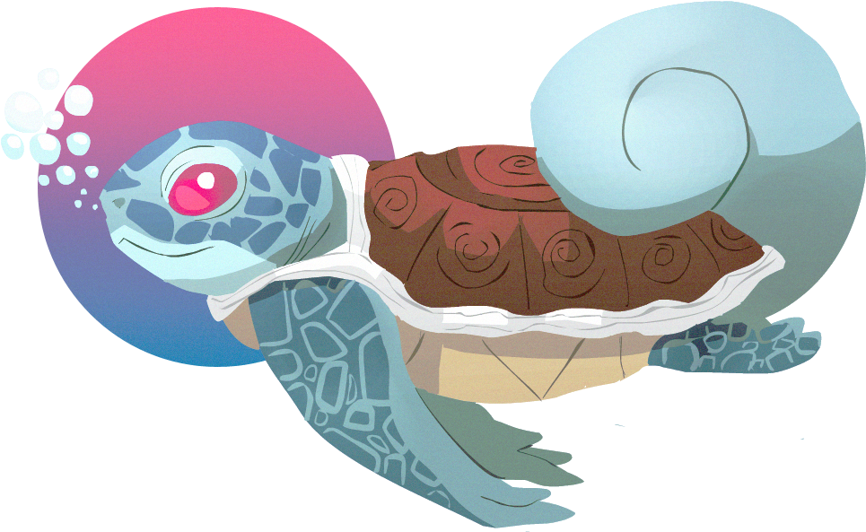 Pkmnathon Squirtle - Illustration (1042x608), Png Download