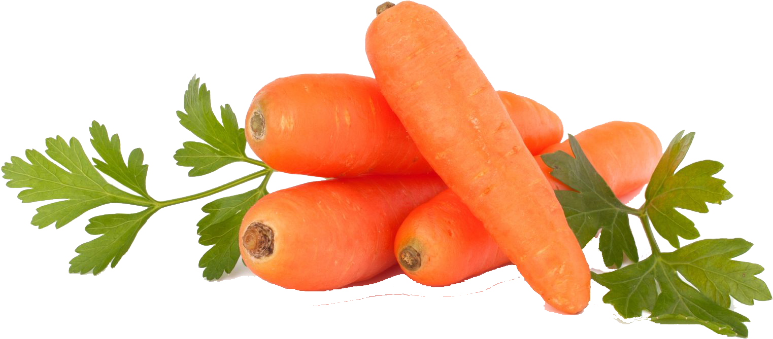 Carrot Ansika Trading Pvt - Carrot Seeds,vegetable Seeds Organic Russian Heirloom (1594x1177), Png Download
