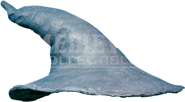 Lotr Gandalf Hat - Gandalf Hat Png (723x723), Png Download