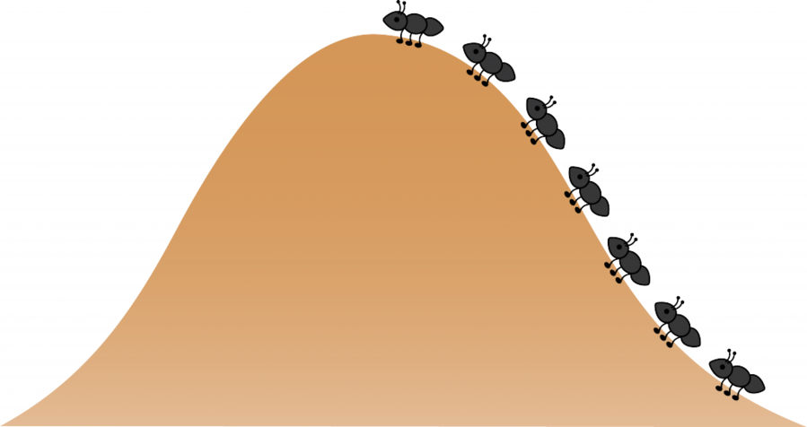 Ant Hill Clip Art (899x476), Png Download