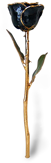 Blackrose Tall - Black Lacquer And Gold Rose (236x712), Png Download