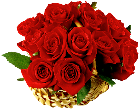 72a - Rosa Vermelha Pra Vc (500x411), Png Download
