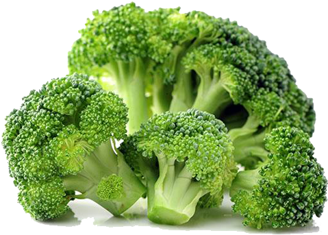 Broccoli Transparent - Transparent Background Broccoli Png (500x460), Png Download