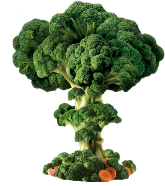 Vegetable Trees Transprent Free - Vegetable (658x740), Png Download