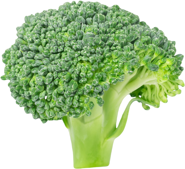 Broccoli - Vegetable Broccoli (866x650), Png Download