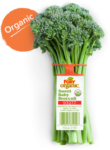 Sweet Baby Broccoli - Foxy Organic (530x526), Png Download