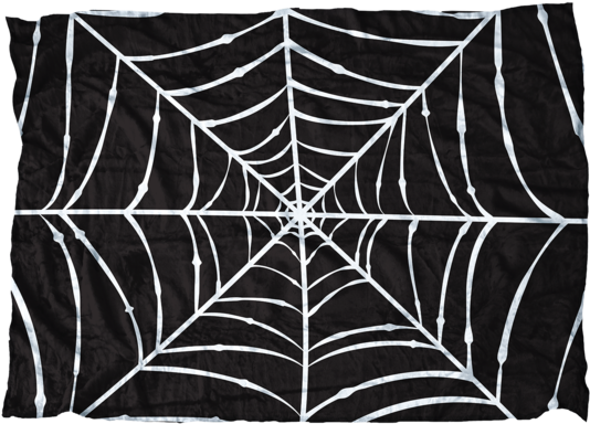 Spider Web (599x410), Png Download