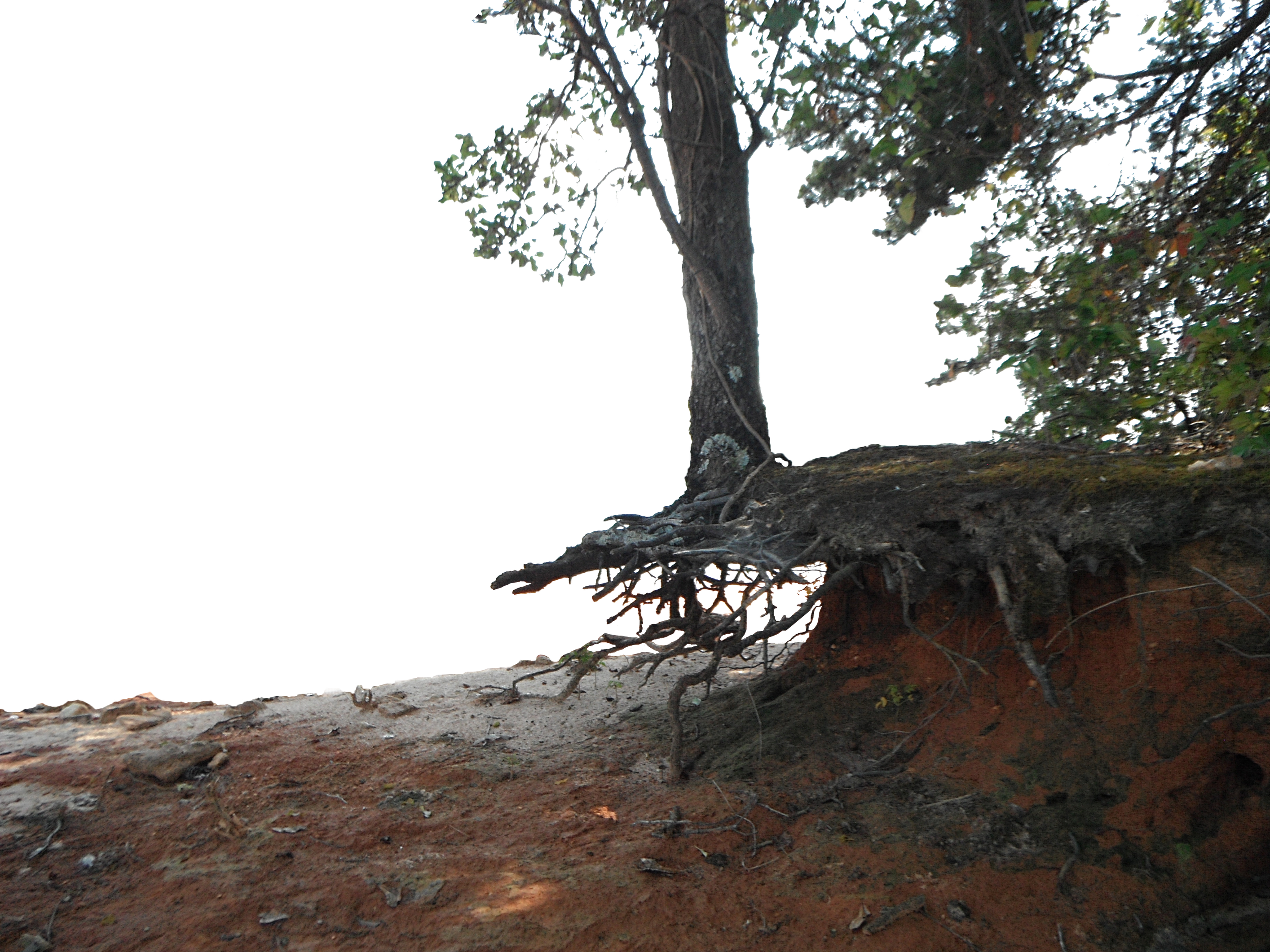 Hanging On Png Cliff Background Stock 1057 By Annamae22 - Portable Network Graphics (2828x2121), Png Download