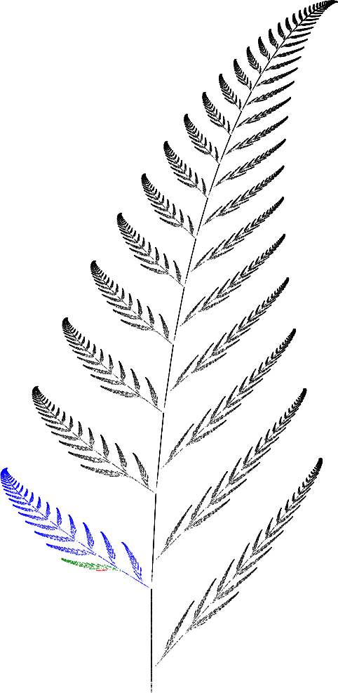 Barnsley Fern Funktion3 - Vertebral Column (482x987), Png Download