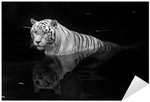 White Painting On Dark Background (400x400), Png Download