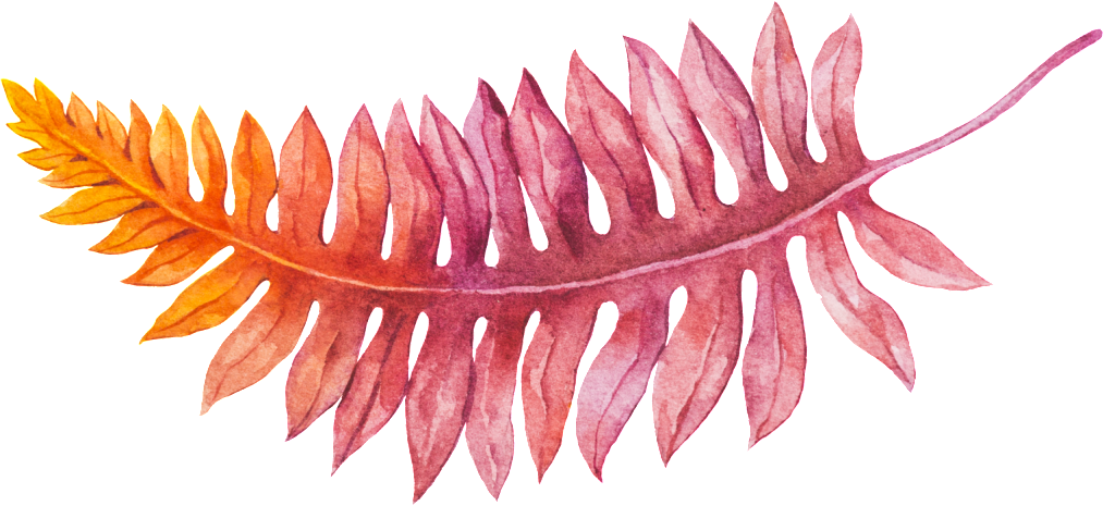 Hand Drawn Gradient Fern Vector - Vascular Plant (1024x465), Png Download