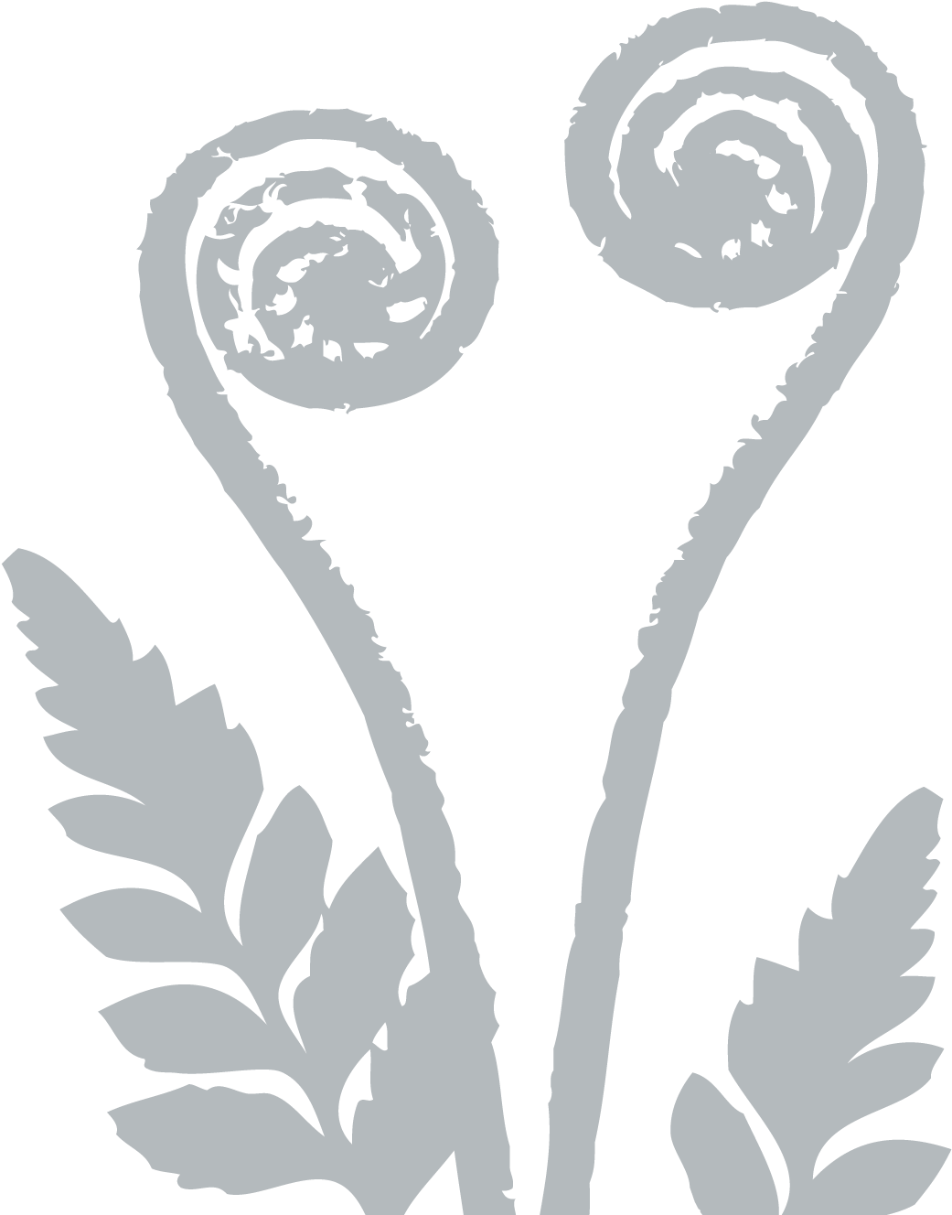 Fern-frond - Silver Fern (1320x1425), Png Download