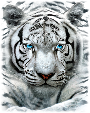 Large White Tiger Rhinestones Heat Transfers - White Tiger Head Photo Cabochon Glass Black Chain Pendant (400x400), Png Download
