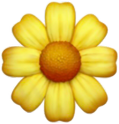 Daisy Yellow Flower Cute Tumblr Overlay Interesting - Flower Emoji Transparent Background (412x430), Png Download