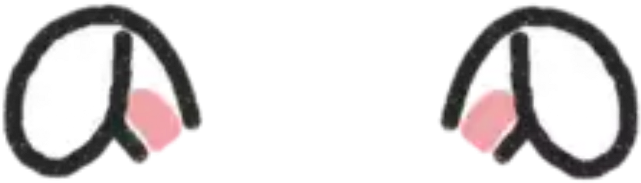 Cute Bunny Ears Png (1024x1024), Png Download