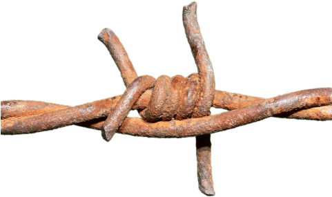 Barbed Wire Rusted Knot - Barbed Wire Png Trasparent (480x360), Png Download