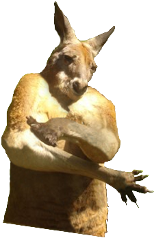 Kangaroo Gangster - Film (720x540), Png Download