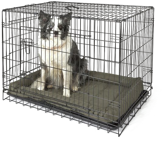 Cage Png Free Download - Cage Animal (570x513), Png Download