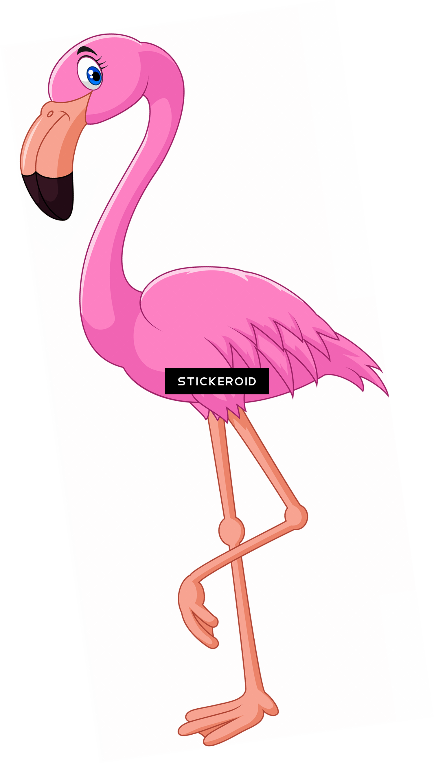 Flamingo Animals - Cartoon Flamingo Png (1500x2637), Png Download