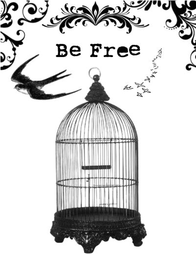 Cag - Png - Interior Gallery Hanging Decorative Bird Cage Antique (400x533), Png Download