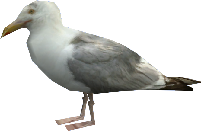 Seagull Png Download - Gta V Seagull (700x450), Png Download