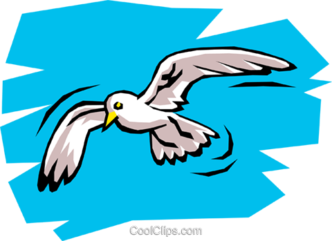 Seagull Royalty Free Vector Clip Art Illustration - Gabbiano Jonathan Livingston Scuola Primaria (480x349), Png Download