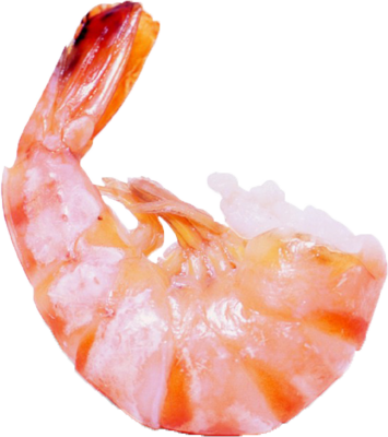 Shrimps Png Images Clipart Free Download - Little Shrimp (355x400), Png Download