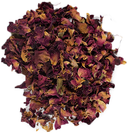 8/5 - Loose Leaf (600x600), Png Download