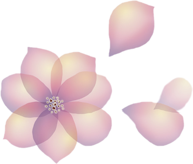 Flowers Petals Transparent Floating Aesthetic - Petal (666x566), Png Download