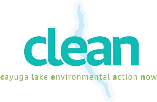 Clean Cayuga Lake - Cayuga Lake (547x357), Png Download