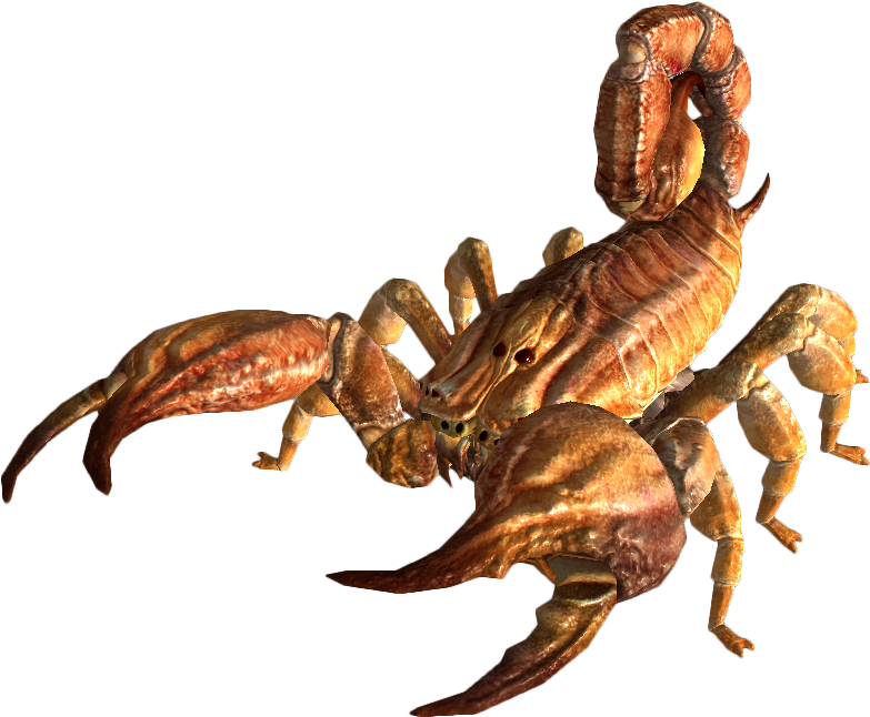 The Vault Fallout Wiki - Bark Scorpion (825x700), Png Download