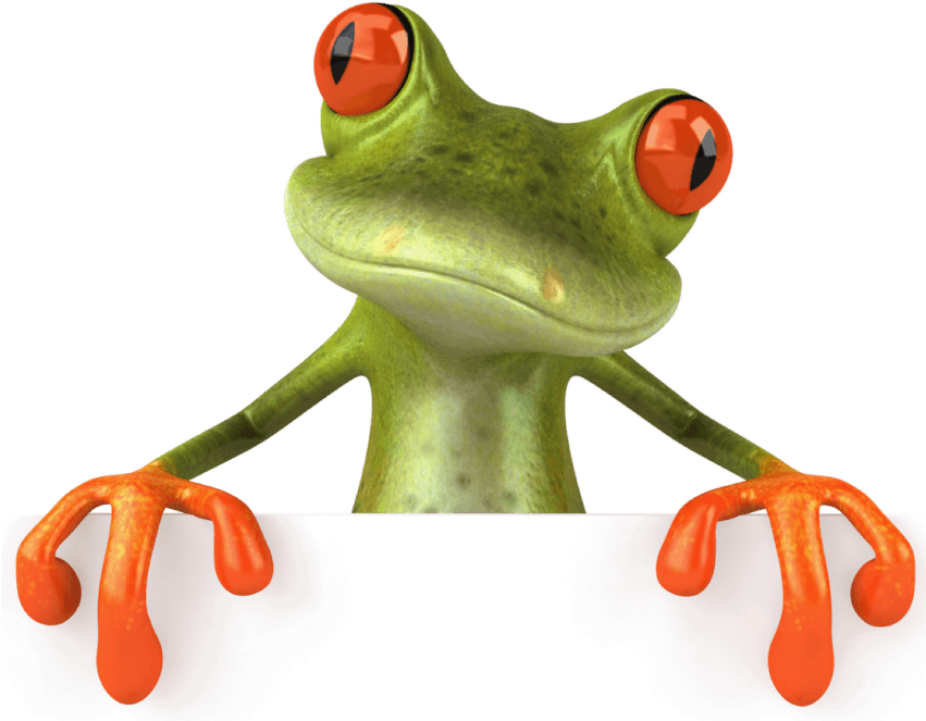 Free Png Frog Png Images Transparent - Frog Hd (850x669), Png Download